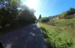 Vosges